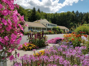 Bay Top Motel